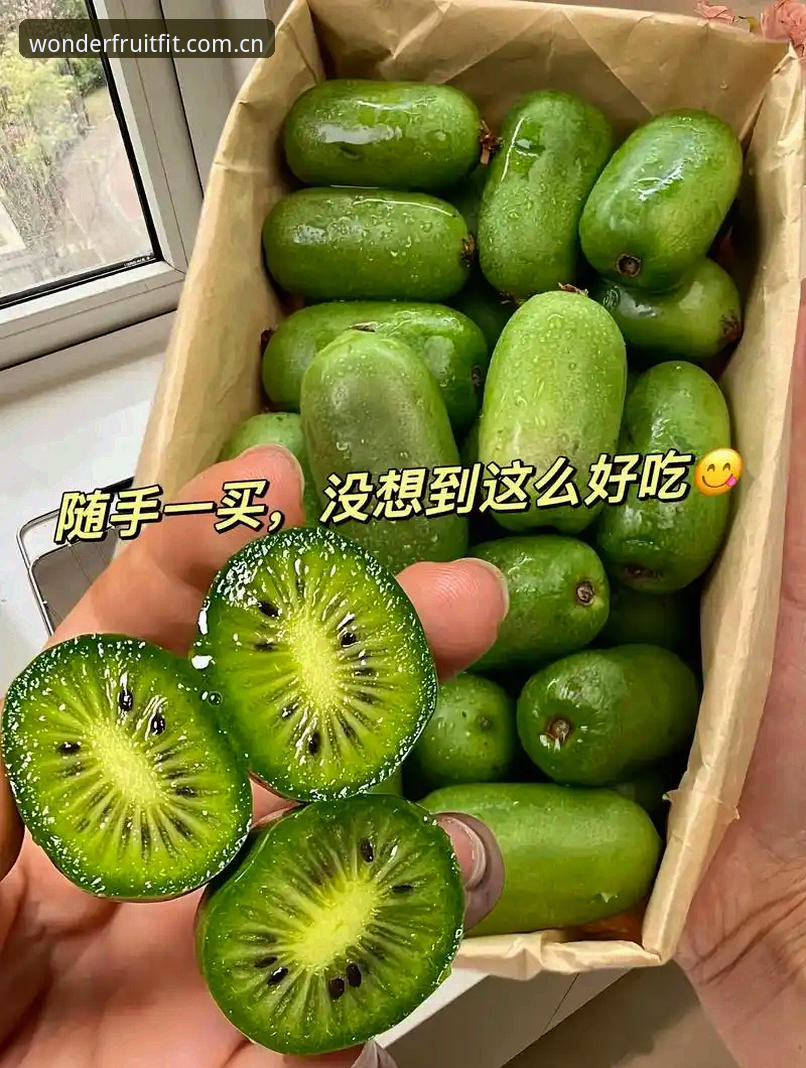 奇异果体育新手必备知识：从注册到流畅使用的完整操作指南