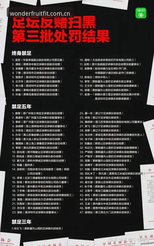 中国足协第三批禁足名单全面解析：从17人终身禁赛看足球腐败治理深度