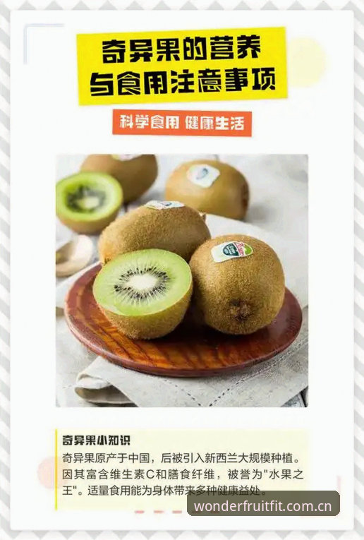 新用户必看：选择奇异果体育的5个核心考量与实用指南